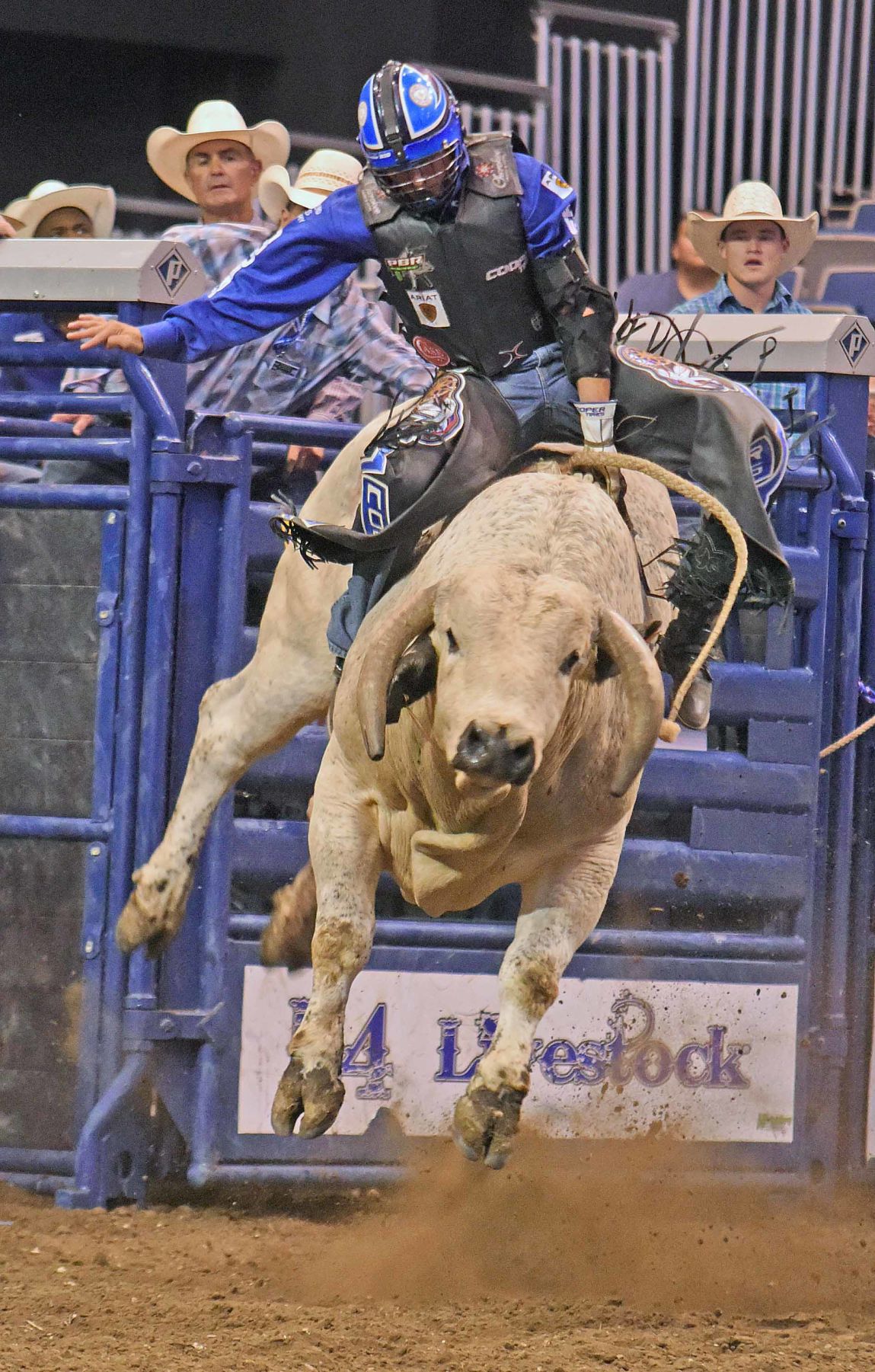 061519-spt-bulls4.jpg